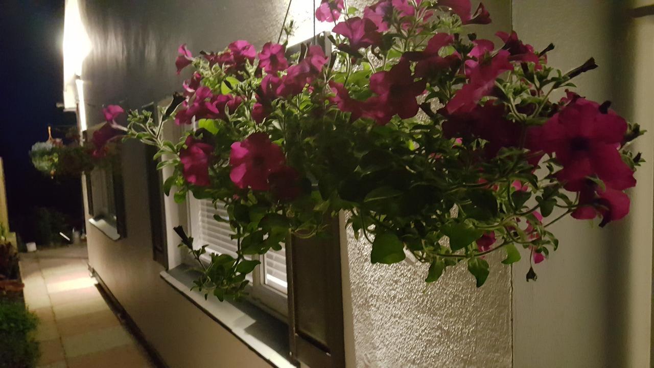 Marthys House With Hot Tub Looe Villa Bagian luar foto